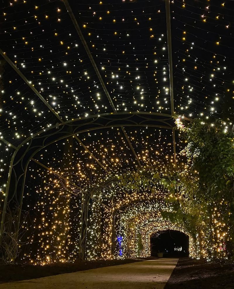 Holiday Lights Spectacular Draws Massive Crowds