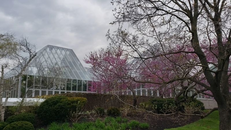 Stunning Snow-Covered Landscapes Create Picture-Perfect Moments