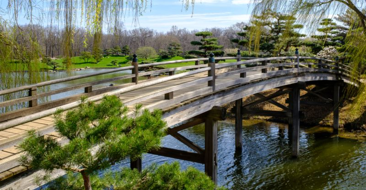 Why The Chicago Botanic Garden Is A Must-See Winter Stop For Visitors To Illinois