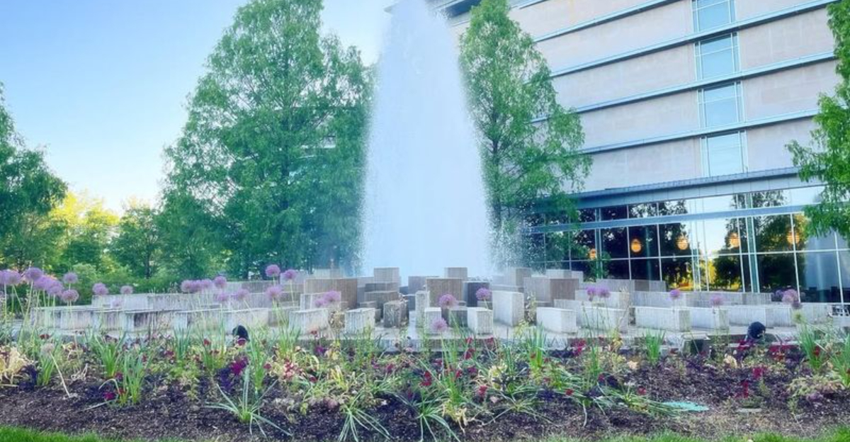 Why The Indianapolis Museum Of Art Gardens Stand Out Among Indiana’s Outdoor Spaces
