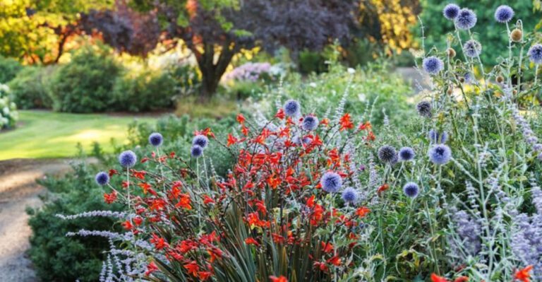 wildflowers (featured image)