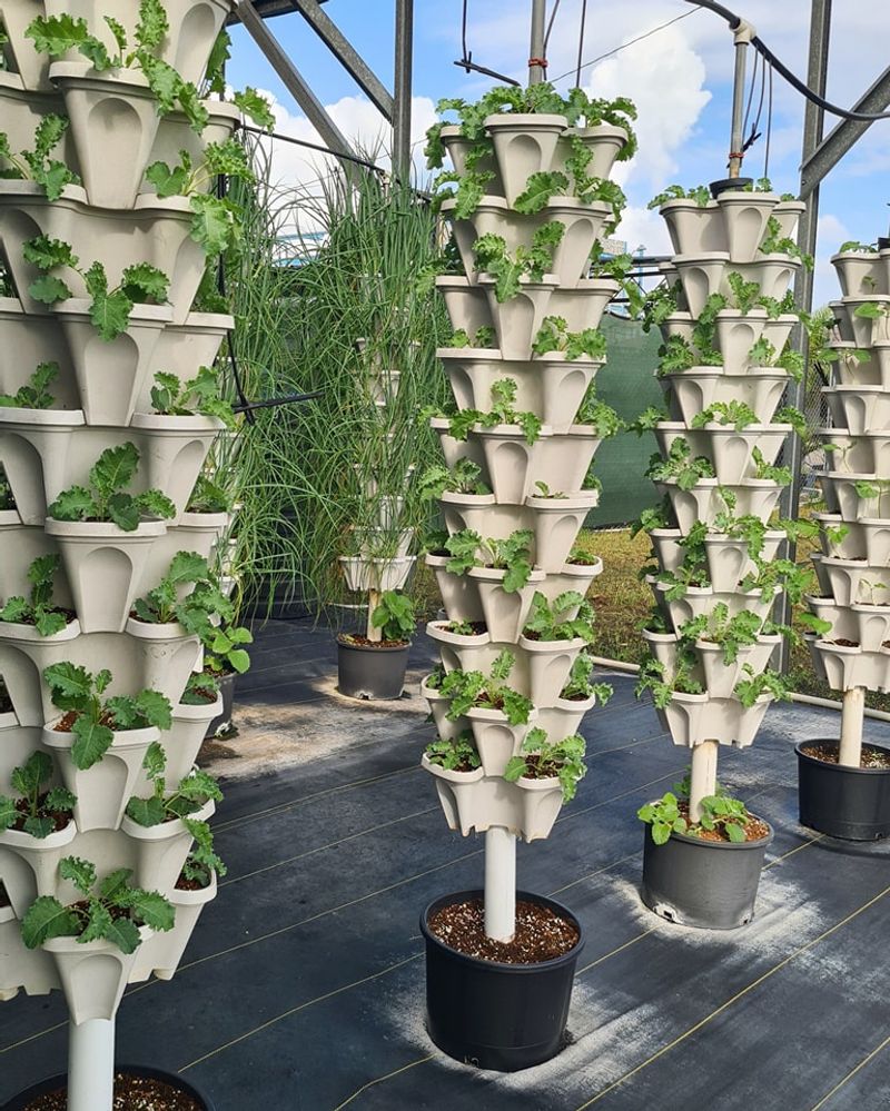 Maximizing Limited Space Efficiently