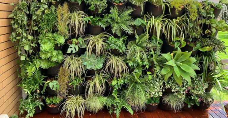 vertical plant wall