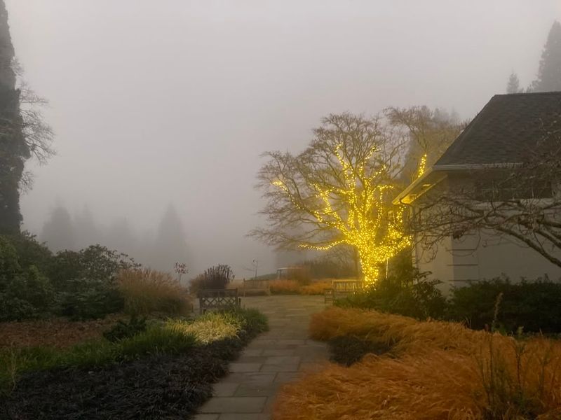 Carefully Designed Landscapes That Blend Nature and Art