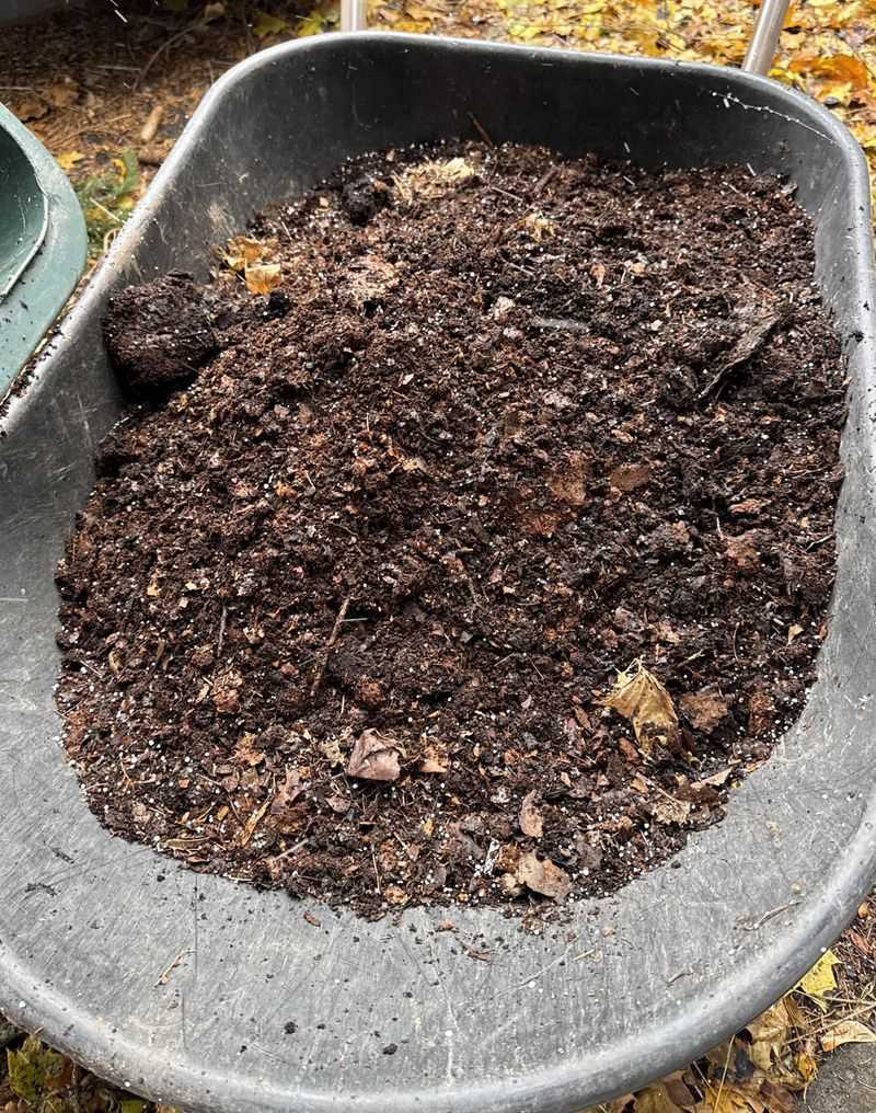 What Maryland Homeowners Miss When They Don't Check Under Mulch
