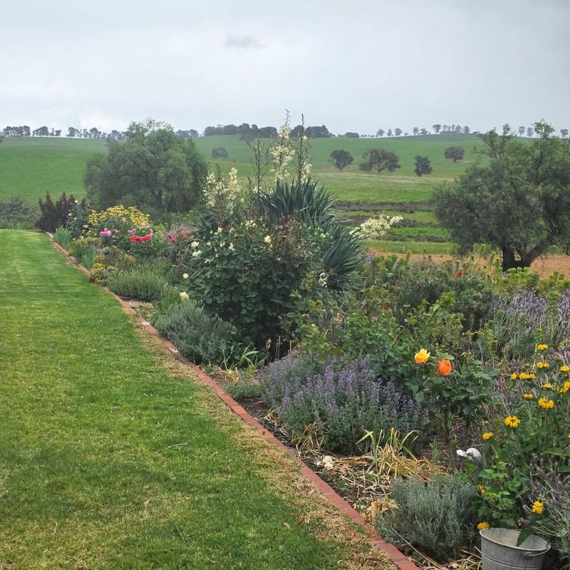 Best Selection Before Spring Sellouts