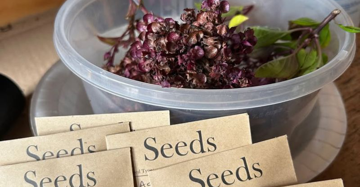 Why Winter Is The Best Time For Wisconsin Gardeners To Do All Their Plant And Supply Shopping