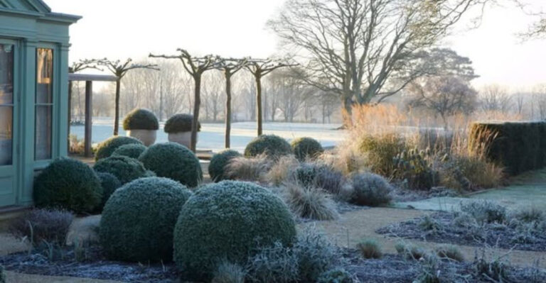 garden (featured image)