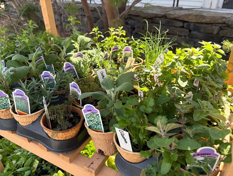 Small Pots, Big Flavor In Winter's Chill