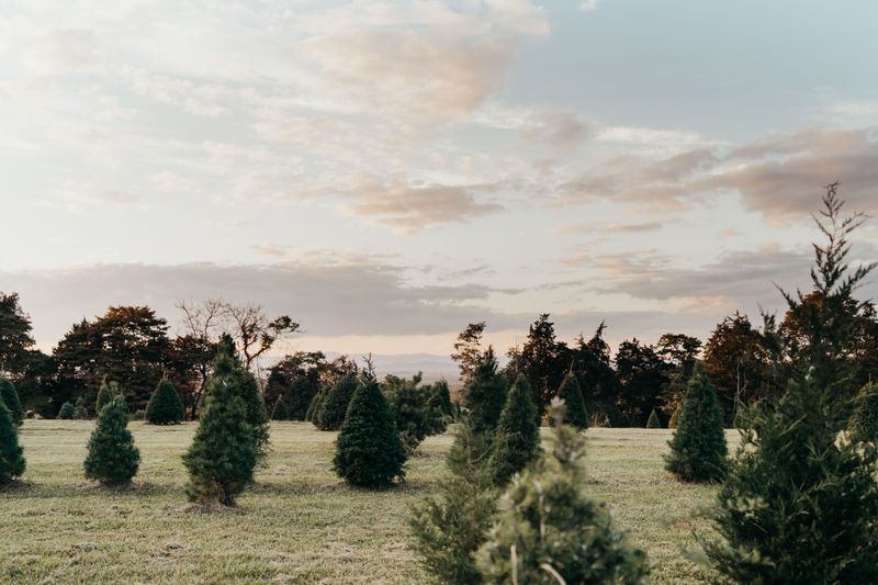 Graves Mountain Farm