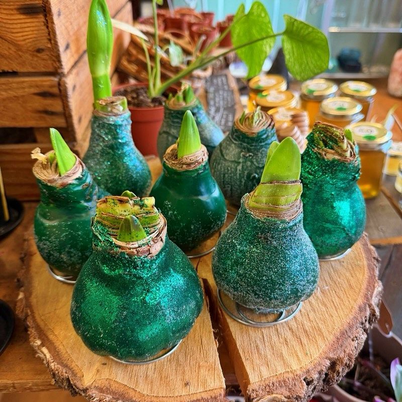 Budget-Friendly Beauty