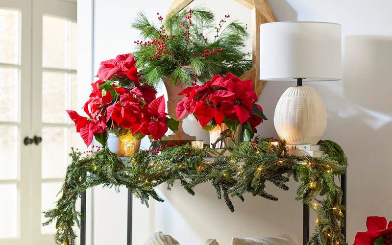 Used As Table Centerpieces And Entry Accents