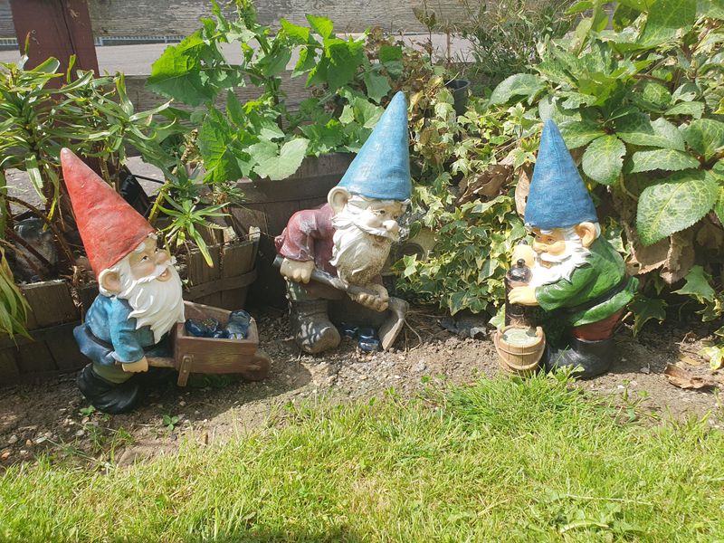 Gnomes and Garden Statues