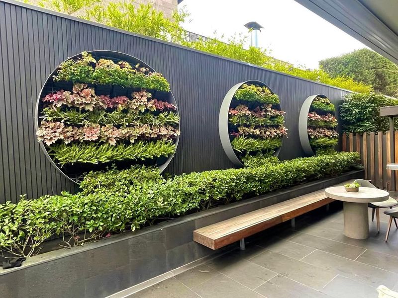 Vertical Living Wall Gardens