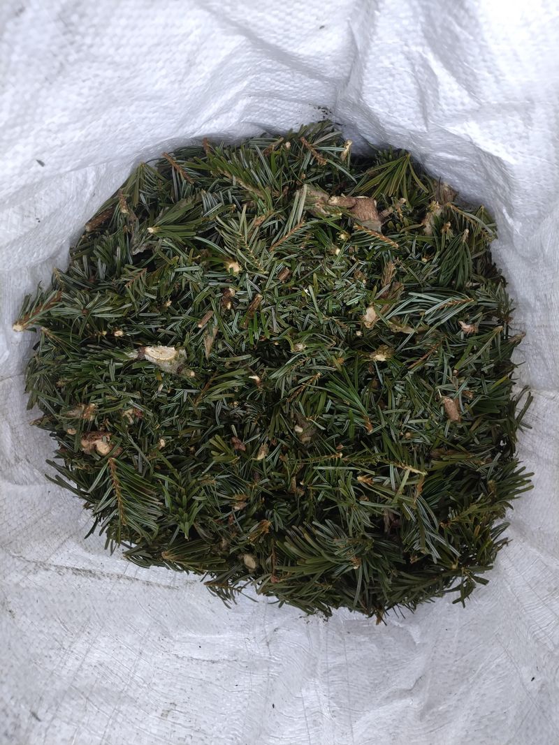 Erosion Control Stabilizes Slopes And Garden Beds