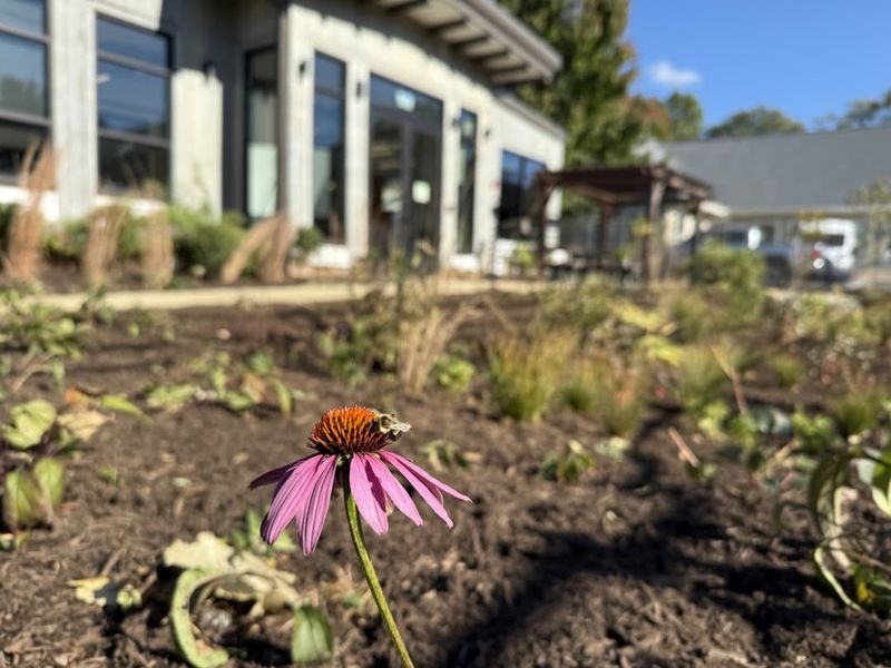 Pre-Approval May Be Required Before Starting Work