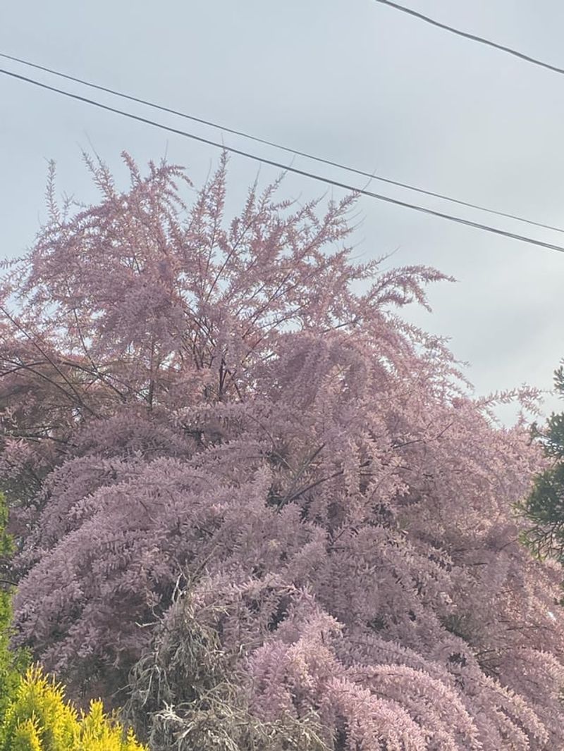 Property Values Face Negative Impact