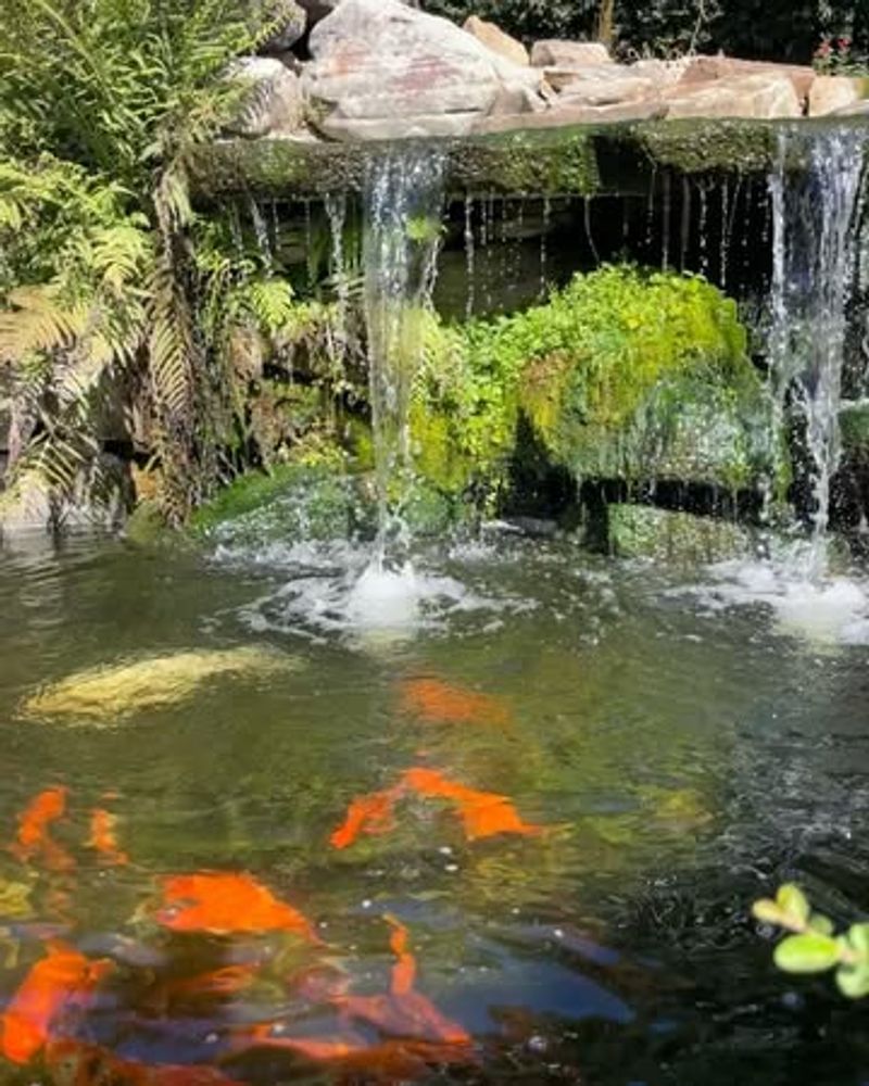 Seasonal Maintenance Stays Manageable