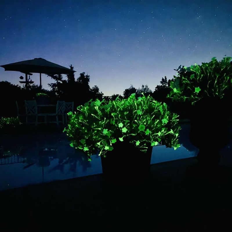 Design Ideas For New England Gardens And Landscapes