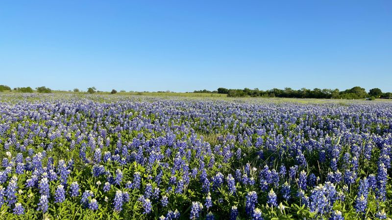 Brenham and Washington County