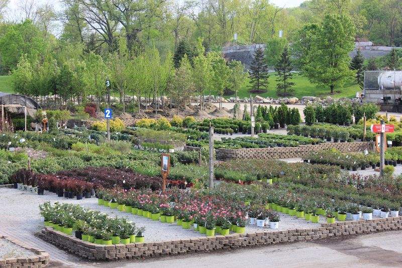 Bzak Landscaping & Garden Center