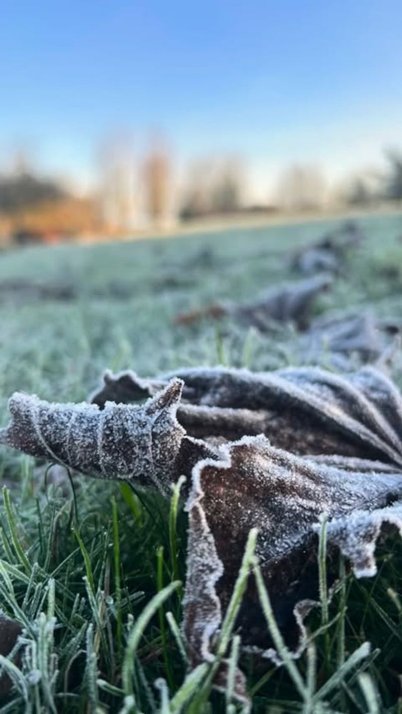 Soil Moisture Levels Vary Across Your Yard