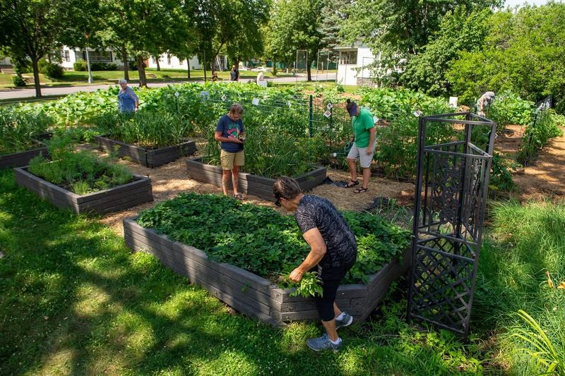 Community Garden Plot Sharing