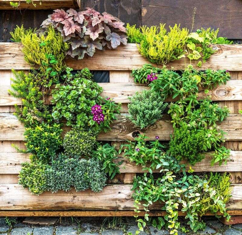 Wooden Pallet Vertical Gardens For Balcony Walls