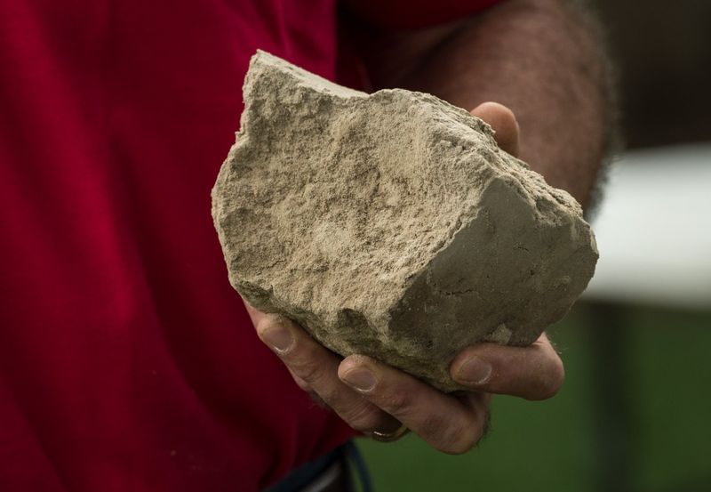 They Improve Soil Structure In Heavy Tennessee Clay
