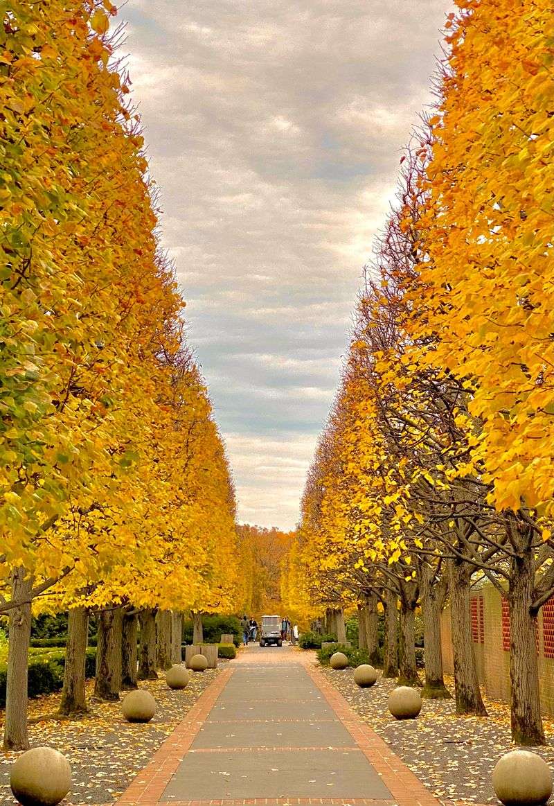 Educational Programs Teach Winter Ecology and Nature Science