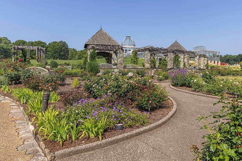 Winter Blooms Create Rare Seasonal Beauty