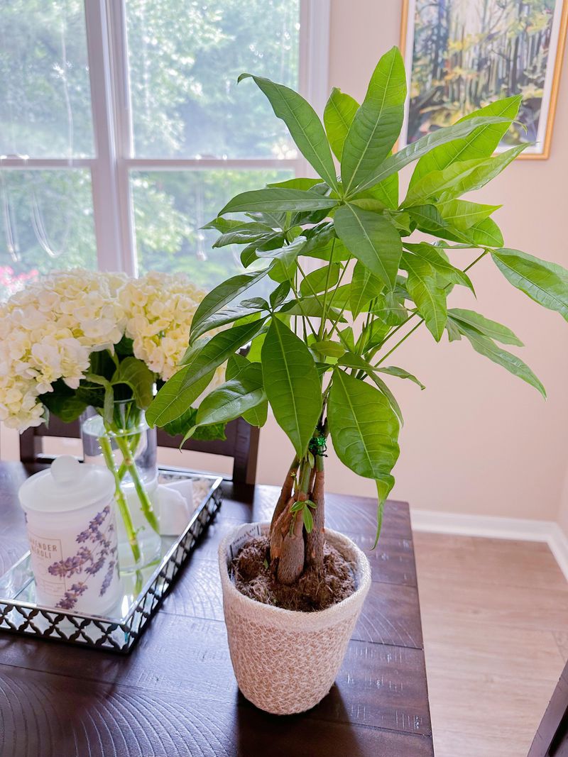 Illinois Climate Considerations: Humidity And Temperature Factors