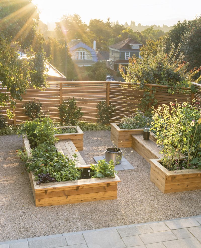 It Helps Gardeners Match Plants To Sun Patterns