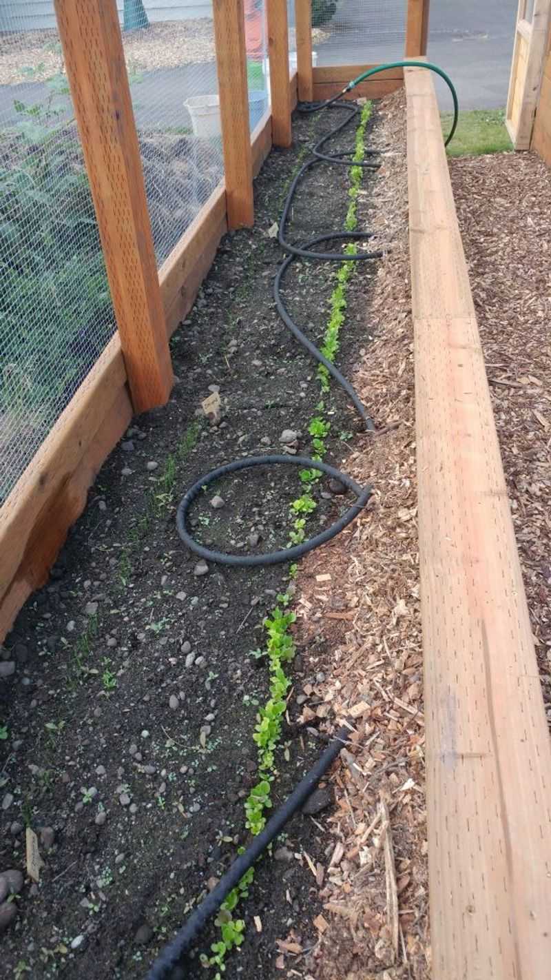 Improved Drainage After Heavy Winter Rain Events