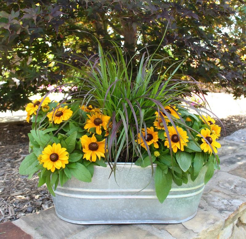 Native Plants Thrive Naturally