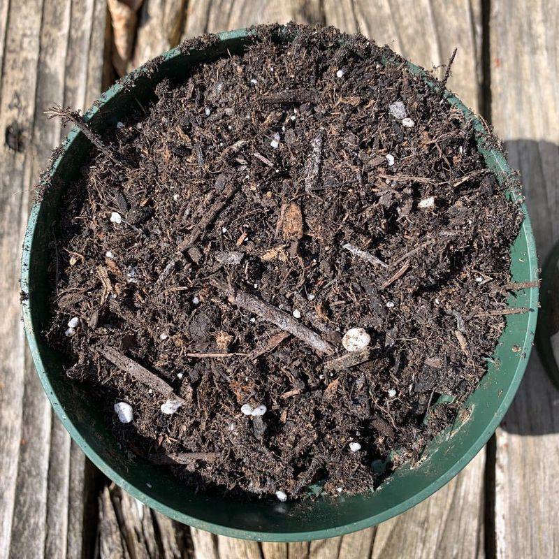 They Improve Long Term Soil Health