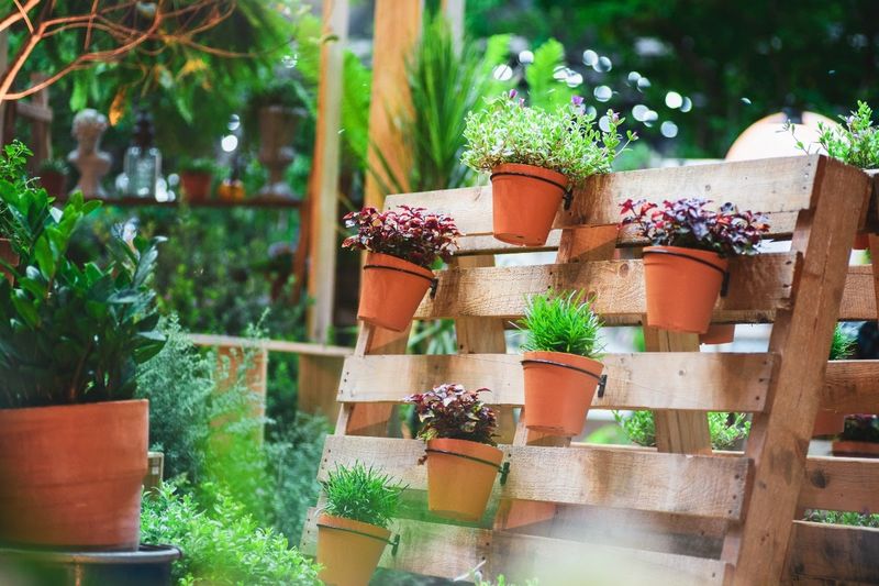 Pallet Trellis For Vertical Herb Gardens