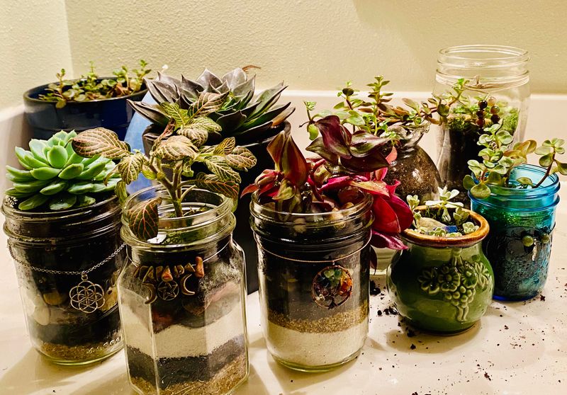 Mason Jars And Glass Bottles