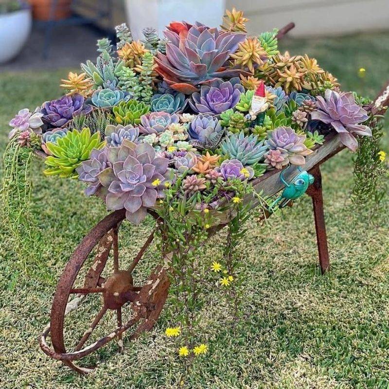 Old Wheelbarrows Become Mobile Flower Displays