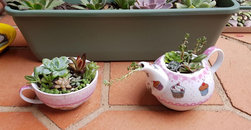 Teacups And Teapots As Whimsical Planters