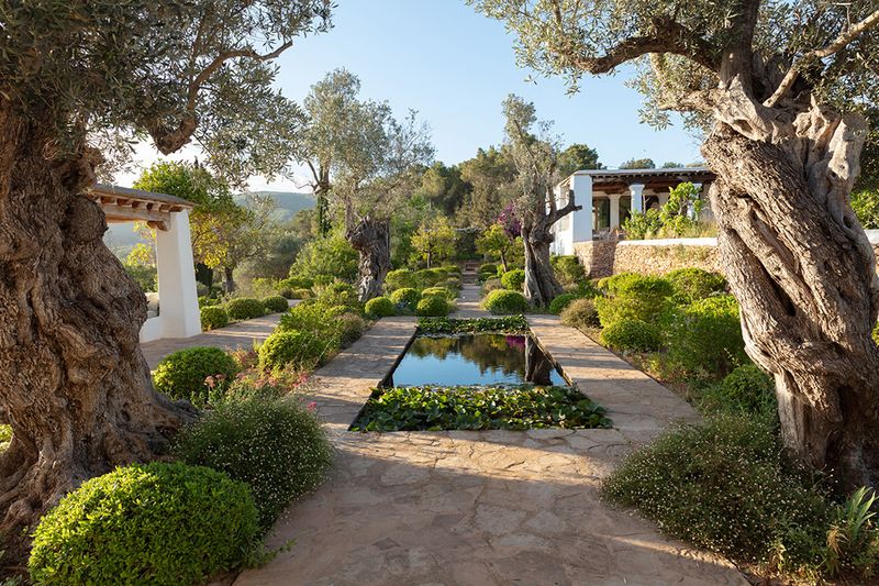 Mediterranean Drought-Tolerant Gardens