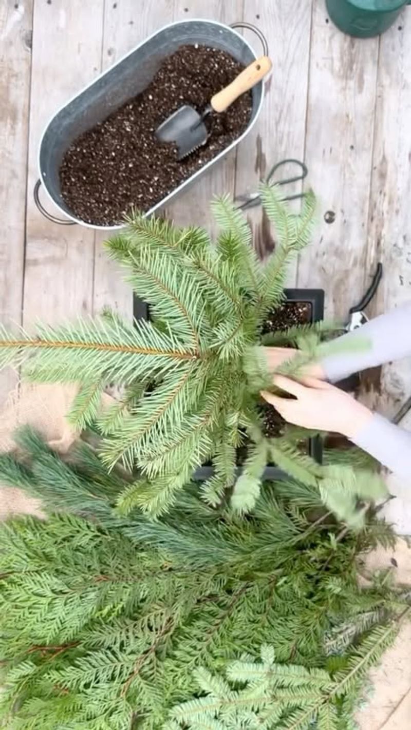 Use Snow Banks as Natural Refrigerators