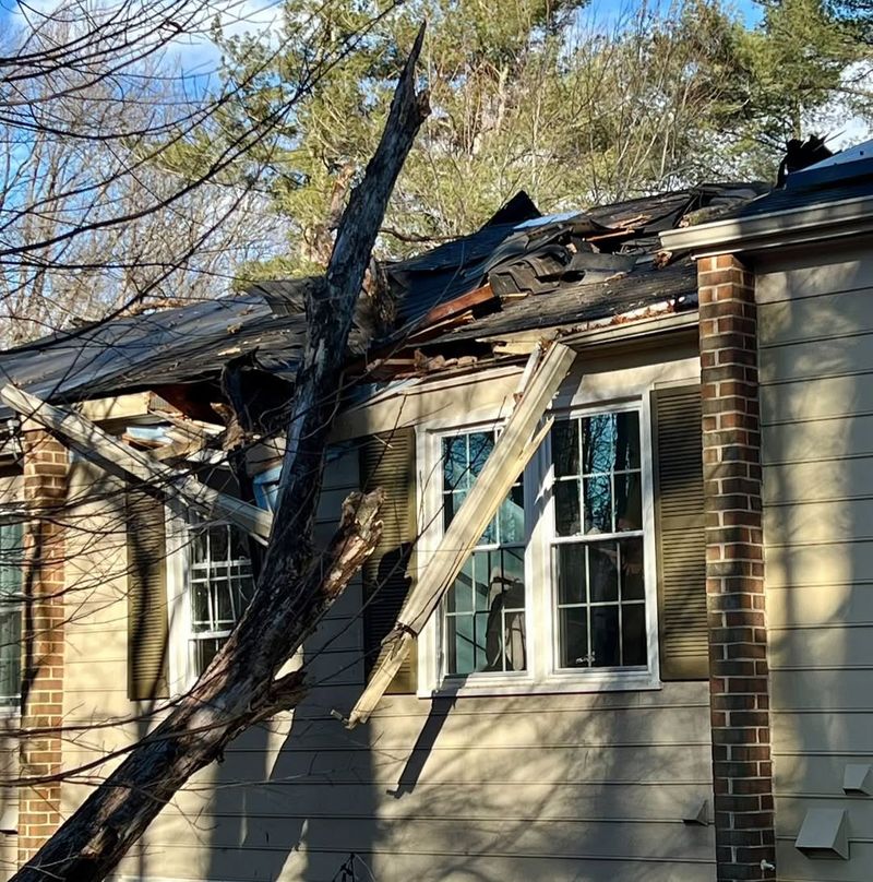 Municipal Ordinances May Impose Additional Tree Maintenance Duties