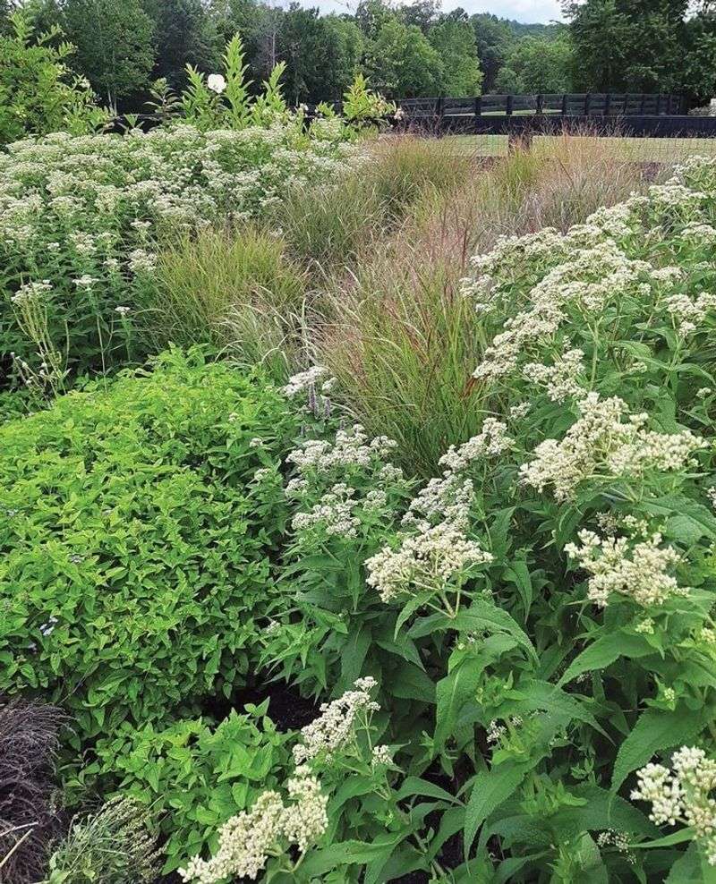 Native Plant Selection Makes All The Difference