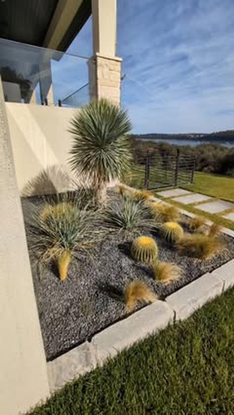 Native Grass Alternatives