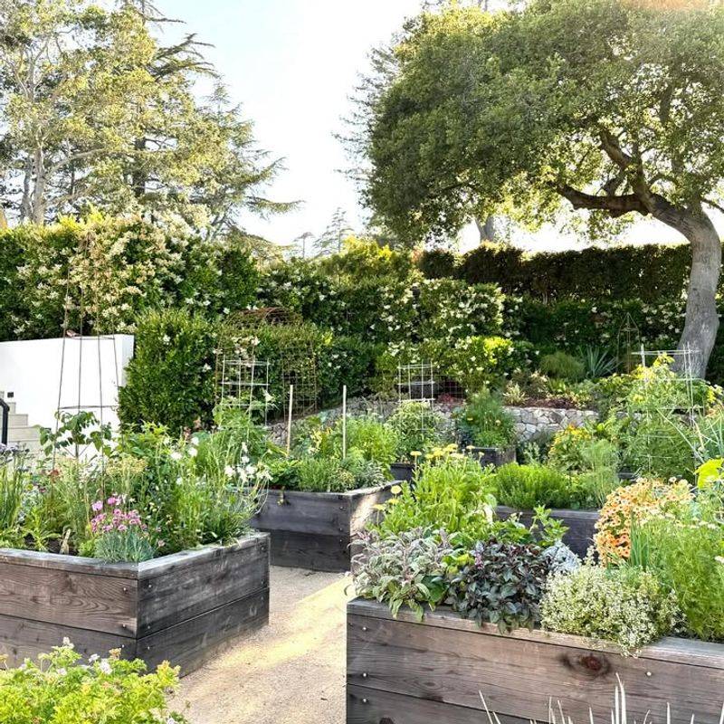 Edible Landscapes That Feed Families