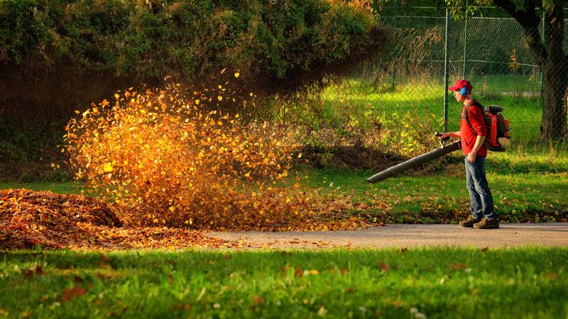 Gas-Powered Leaf Blowers