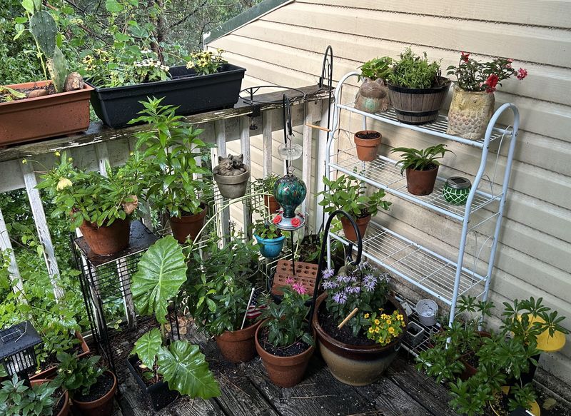 Social Media Inspiration Spreads Ideas