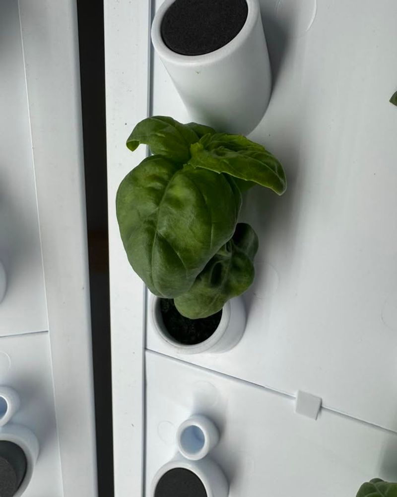 Easy Accessibility for All Ages