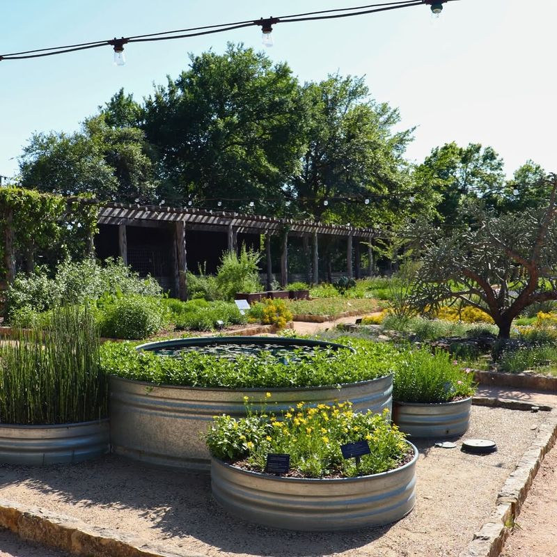 Sustainable and Eco-Friendly Practices